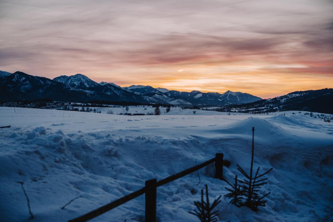 Sopa Zakopane Villa Eksteriør billede
